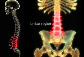 It would be my back. Low Back Pain Exercise Causes Treatment Symptoms Diagnosis