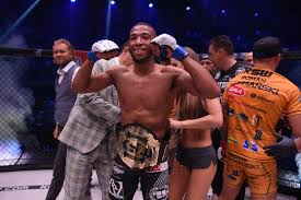 Ksw free fight_ salahdine parnasse vs ivan buchinger _ ksw 58. Ksw 48 Festiwal Nokautow W Lublinie Fenomenalny Parnasse Mistrzem Sport Wp Sportowefakty