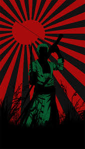 We hope you enjoy our growing collection of hd images to use as a background or home screen for your. Zoro Background Wptunnel