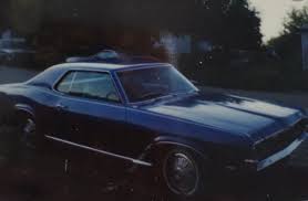 Image result for Medium Dark Spruce 1982 Mercury