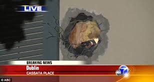 Identifying the problem and eliminating the cause are the firs. Mythbusters Crew Shoots Cannonball Through A House And A Van As Stunt Goes Terribly Wrong Daily Mail Online