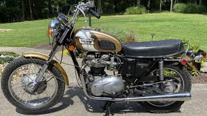 Image result for Honeysuckle 1972 Triumph