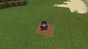 There are no mods or addons in this video Quicksand 7 Variations Tiny Addons Minecraft Pe Mods Addons