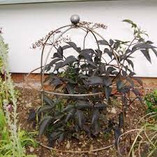 Shop plant supports and accessories online at acehardware.com and get free store pickup at your neighborhood ace. Plant Supports Gap Garden Products