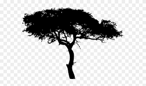 2000 × 1725 px file format: African Tree Silhouette Png For Kids Shade Vfx Free Transparent Png Clipart Images Download