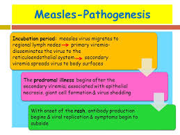 The term is from latin desquamare 'to scrape the scales off a fish'. Common Viral Exanthemas Measles Chickenpox Rubella Ppt Video Online Download