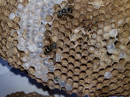 As easy as modeling may sound, there are many unsuspected obstacles one may face during this demanding career—from social to physical, to even emotional. Sevina Webeweb Model 2018 Ipad Pro Wallpaper Ipad Pro 2018 Stock Wallpaper 003 3208x3208 Available For Hd 4k 5k Desktops And Mobile Phones Flexest Debeautyvilla