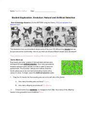 Gizmo natural and artificial selection answer key. Stephani Debise Natural Artificial Selection Gizmo 4214510 Pdf Name U200bstephani Debise Date Student Exploration Evolution Natural And Artificial Course Hero