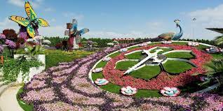 Dubai S Miracle Garden Is A Real Life Alice In Wonderland Miracle Garden Flower Garden Annual Garden