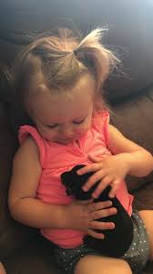 We specialize in raising healthy and happy dachshund puppies. Central Illinois Miniature Dachshunds Home Facebook