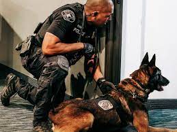 K9 Unit - WCPD