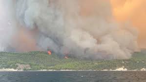 Maybe you would like to learn more about one of these? X94ykatqqwigzm