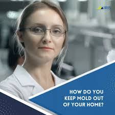 David Mold's Instagram, Twitter & Facebook