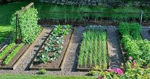 Garden Design For Organic Vegetable Gardens Beautiful Designing A Ve Able Garden Ideas For Container Ve Able In 2020 Garden Layout Vegetable Garden Design Garden Pests