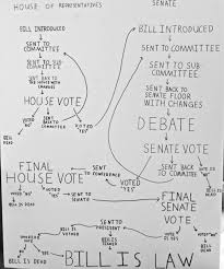 my sons flow chart of how a bill becomes a law polly castor