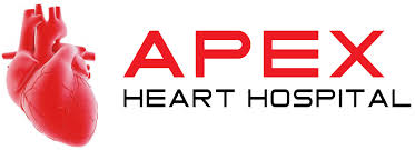The cardial apex means the apex of the heart. Apex Heart Hospital Private Limited Linkedin