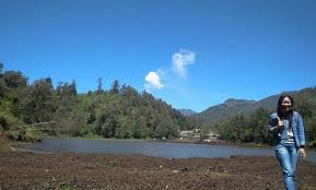 By admin monday, may 31, 2021. 10 Gambar Ranu Pane Lumajang 2021 Rute Jalur Menuju Lokasi