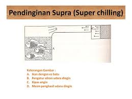 We did not find results for: Pendinginan Pembekuan Ppt Download