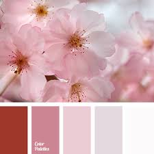 Pink, which is made of red color mixed with white, is a very common pastel color. Color Palette 2333 Red Colour Palette Color Palette Color Balance