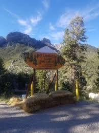 The las vegas strip is one of the most popular travel destinations in the country and the perfect place for cabins near mount charleston. Mount Charleston Cabins 5355 Kyle Canyon Rd Las Vegas Nv 89124 Usa
