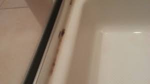 When caulking your shower, you want to make sure your caulk can take both cold and hot weather. How To Deal With Mildew And Mold On Your Shower And Bathtub Caulking