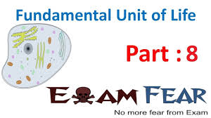 What is cell in biology class 9. Biology Fundamental Unit Of Life Part 8 Structure Of Cell Cytoplasm Organelles Cbse Class 9 Ix Apho2018