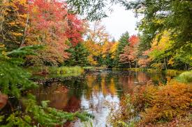Indian summer indian summer, popular expression for a period of mild, summerlike weather which occurs in the autumn, usually after the first frost. Indian Summer In Kanada Tipps Fur Die Ostkusten Rundreise Travel Blog