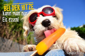 Hitze Eis Essen Coole Sprüche Bilder Für Den Sommer