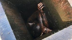 If you use the fireplace every day in winter, it will need more frequent attention. Stuck In Chimney Cbs San Francisco