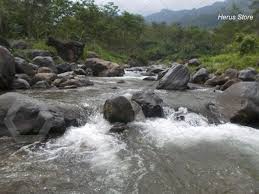 Big River Stream On Big Mountain No 3