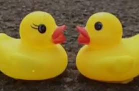Check spelling or type a new query. Bebek Mainan Jadi Tokoh Utama Di Teaser The Wedding And Bebek Betutu
