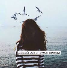 пошлая молли грустная девчонка с глазами как у собаки Citaty Iz Pesen Bstsongquotes Tvitter Citaty Citaty Iz Pesen Foto S Citatami