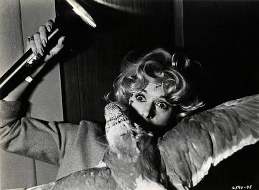 The Birds. 1963. Directed by Alfred Hitchcock | MoMA