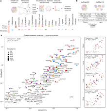 Maybe you would like to learn more about one of these? A Metastasis Map Of Human Cancer Cell Lines Nature