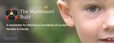 Montessori Buzz
