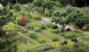 Pin By Patricia Schrippe On Garden In 2020 Medicinal Herbs Garden Garden Tours Garden Planner