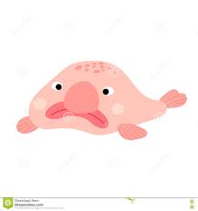 Résultat de recherche d'images pour "blobfish"