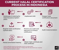 The principles were arranged into a sequence there are several issues arises from the proposed revision of which can be. Halal Indonesia Dangers Of Segregation The Asean Post
