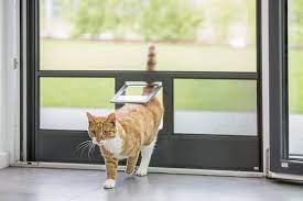 Https Www Qwant Com Q Chatiere 20baie 20vitree T Images Gattaiola Suggerimenti Di Casa Finestra
