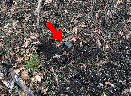 Ukraine deploys new ADAM mines to thwart Russian assaults