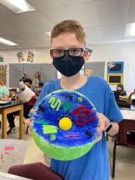 We'll track players' scores to their emails, names or another identifier of your choice. West Clermont Schools On Twitter What Do A Car Restaurant And City Have In Common They Were All Used By Mrs Bass S Sixth Grade Students In Their Cell Analogy Project Students Compared The