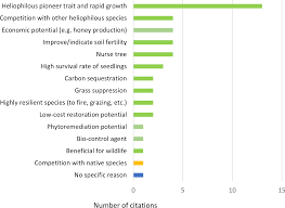 Image result for Harungana montana