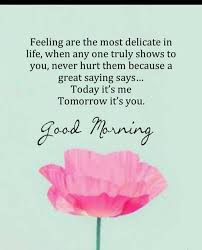 We did not find results for: 56 Positive Good Morning Quotes And Images Tailpic