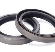 What is a Spring Energized PTFE Seal | SSP