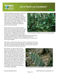 How does a cactus survive in the desert?. What Would Happen If You Put A Tree From A Rain Forest Into A Desert