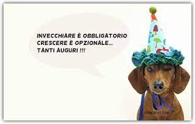 Auguri Compleanni Divertenti Buon Compleanno Buon Compleanno Cane Buon Compleanno Divertente