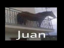 The producer bill ritch claimed that genji 2 ' s epic battles were based on famous battles which actually took place in ancient japan. Juan Know Your Meme