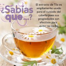 Previene La Caida De Tu Pelo Solo Necesitas Unas Flores Tilo Para Preparar Una Infusion Cuidados Para El Cabello Remedios Naturales Salud Y Belleza