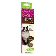 If you've ever heard a cat cough or sneezing, or seen one with a runny nose, you've probably wondered if cats can actually catch colds. Pin On Catstuff