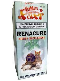 Renacure Kidney Supplement (Sambong, Omega-3, Potassium Citrate) 60mL –  Aycardo Veterinary Center Inc.
